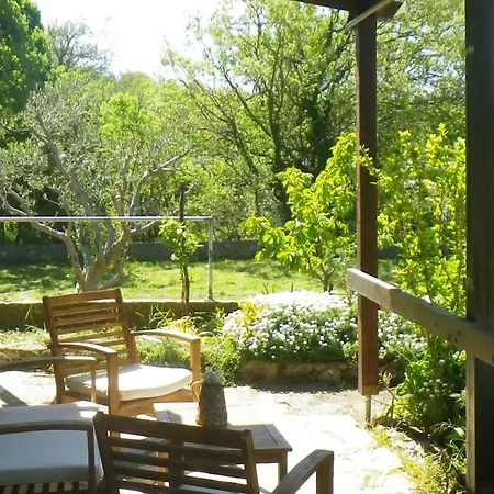One Bedroom With Terrace Daire *